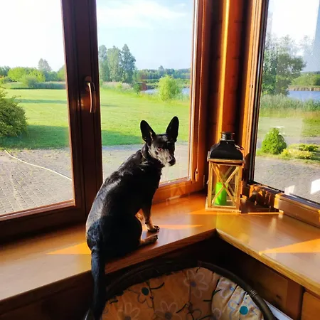 Danielsja * Osiek (Plonsk)