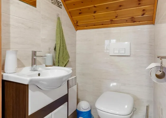 Danielsja Osiek (Plonsk)