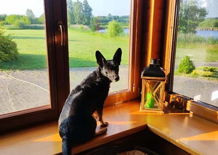 Danielsja * Osiek (Plonsk)