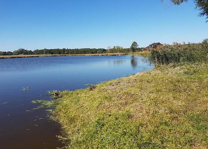 Danielsja * Osiek (Plonsk)